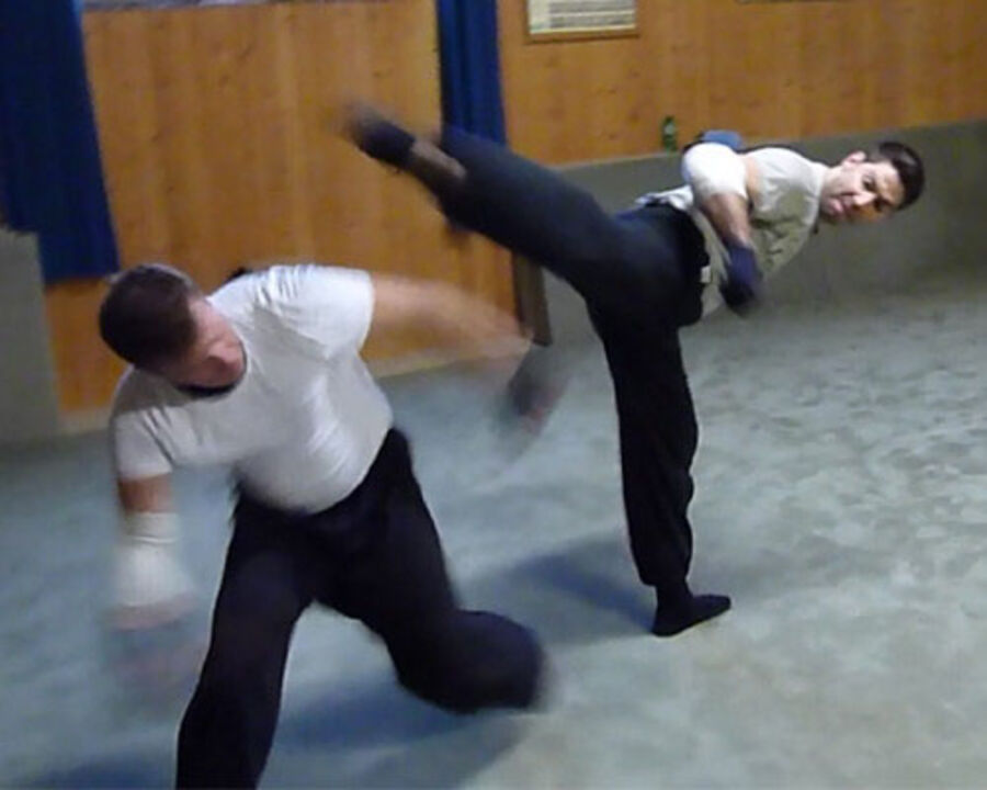 Fuß- und Faustkampf im Training